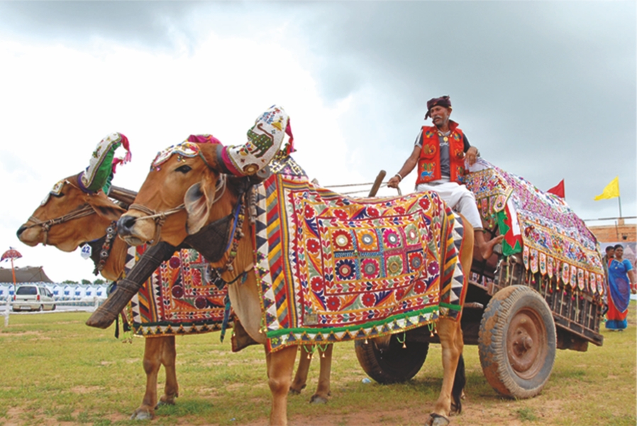 Tarnetar Fair 2024: A Colorful Celebration of Culture and Love in Gujarat