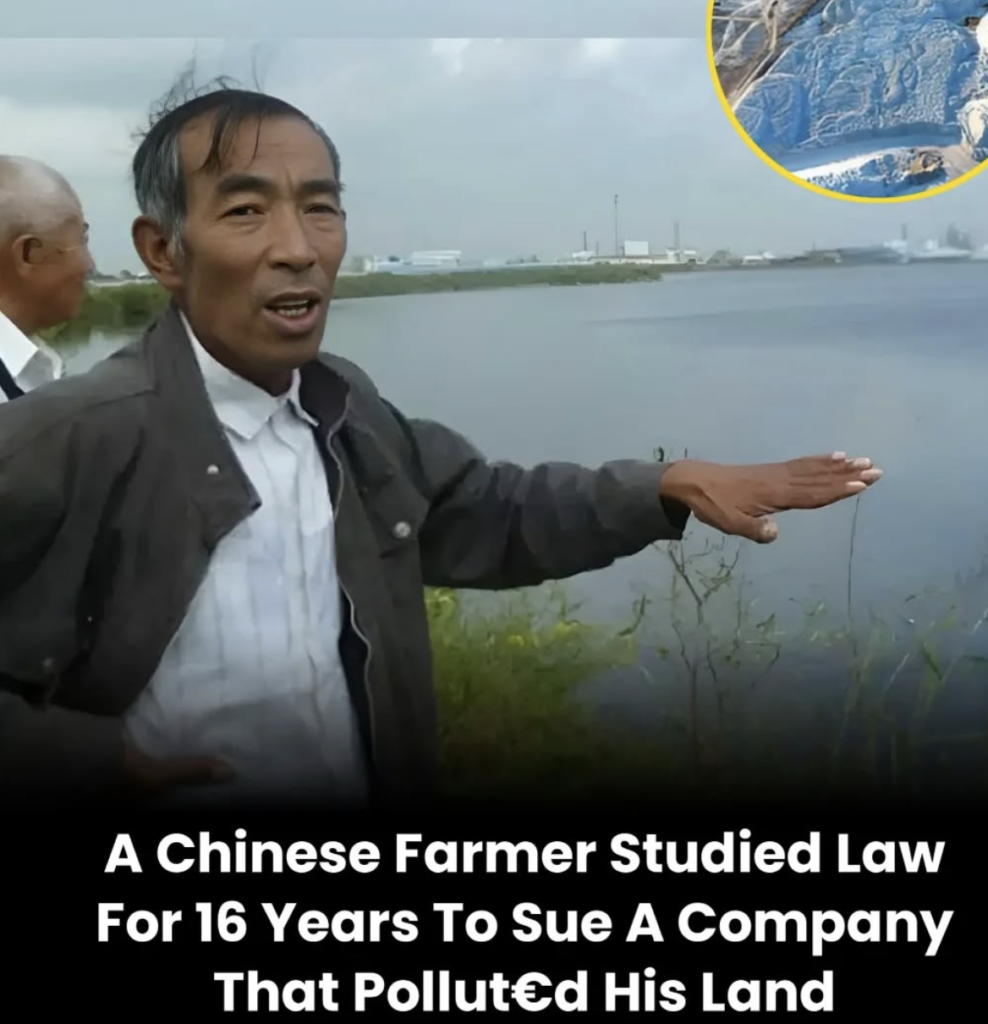 A determined farmer standing in a barren field, symbolizing resilience against pollution.